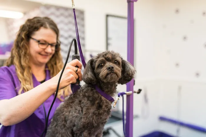 Knoll Animal Hospital 12
