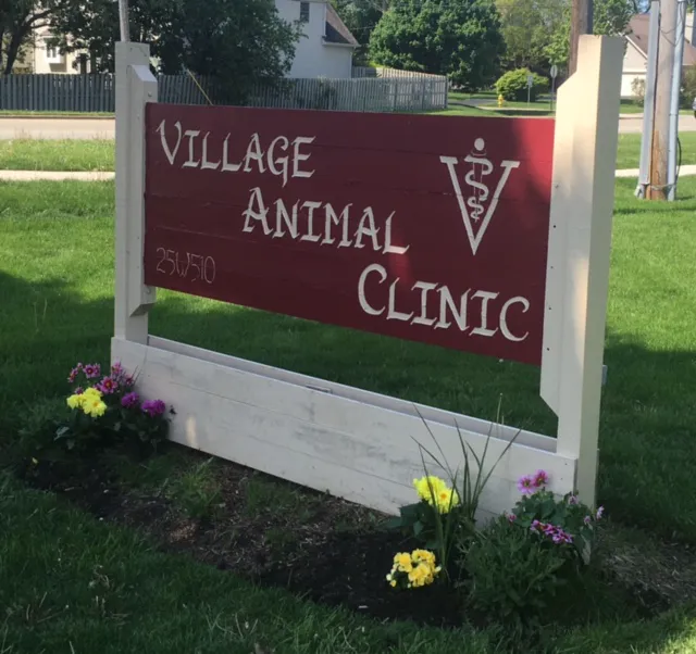 Village Animal Clinic 12