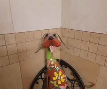 Staudacher Tom DVM