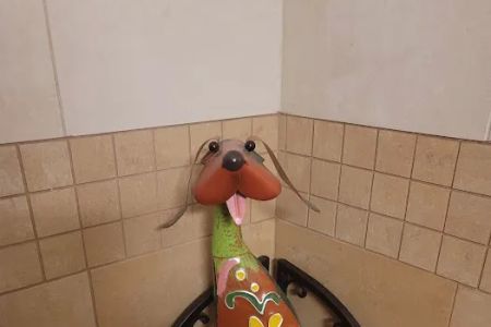 Staudacher Tom DVM