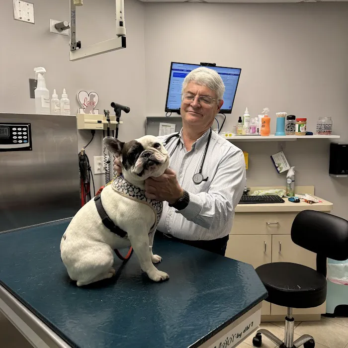 Prairie State Veterinary Clinic, A Thrive Pet Healthcare Partner 2