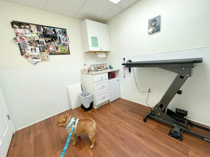 Complete Veterinary Care 12