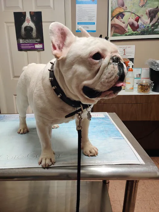 Affordable Veterinary Care Center 12
