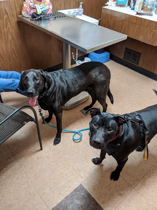 Affordable Veterinary Care Center 12