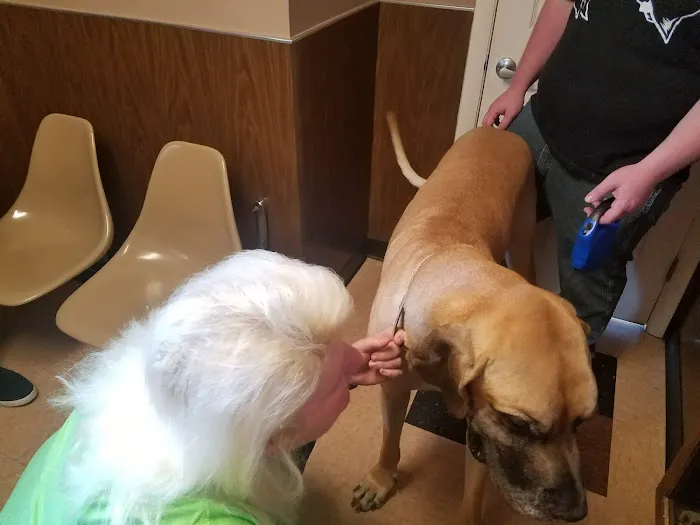 Affordable Veterinary Care Center 12