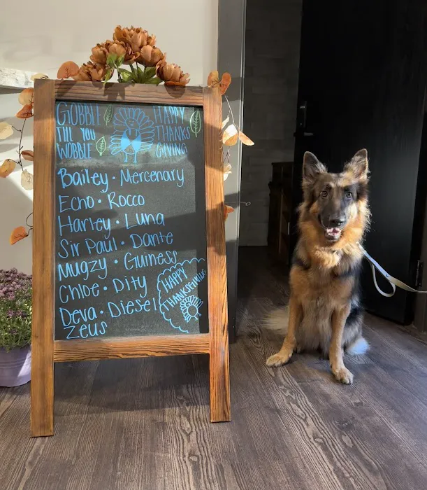 Veterinary Eye Institute Ocala 1