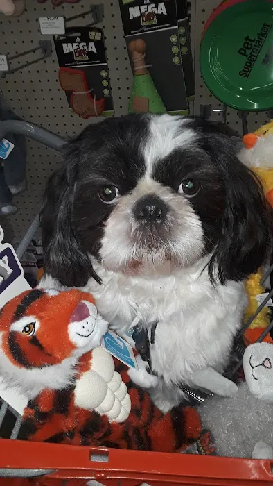 TLC Animal Hospital 12