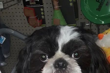 TLC Animal Hospital