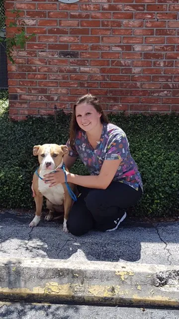 TLC Animal Hospital 12