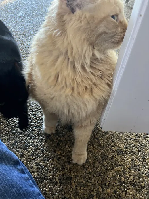 Inverness Animal Hospital 1