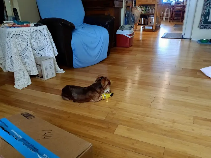 River Region Animal Hospital 12