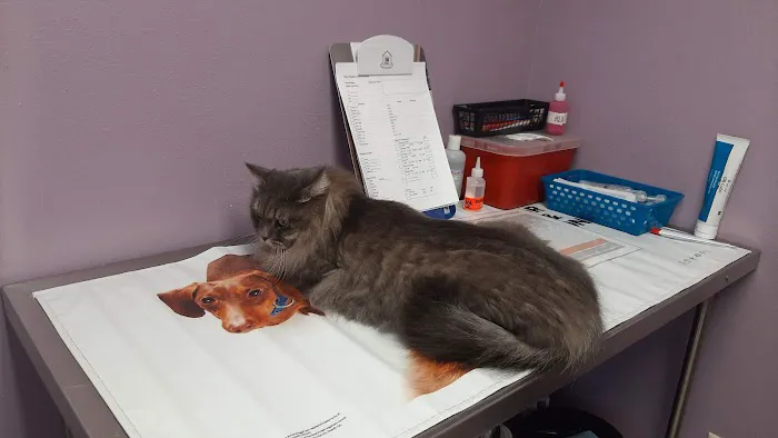 River Region Animal Hospital 12