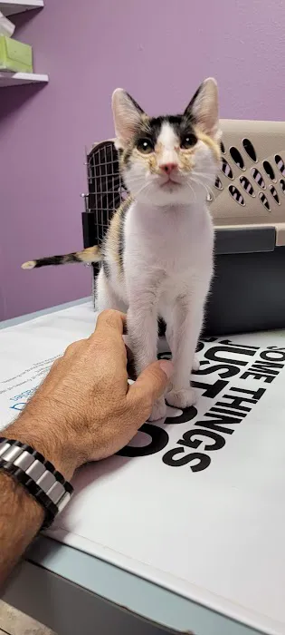 River Region Animal Hospital 12