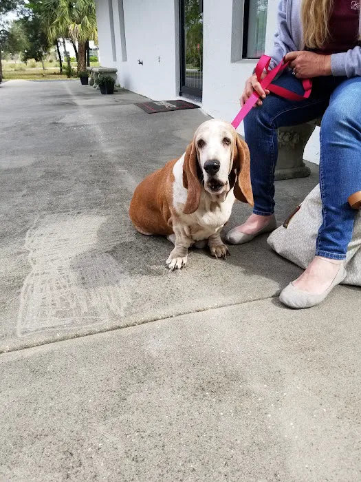 River Region Animal Hospital 12