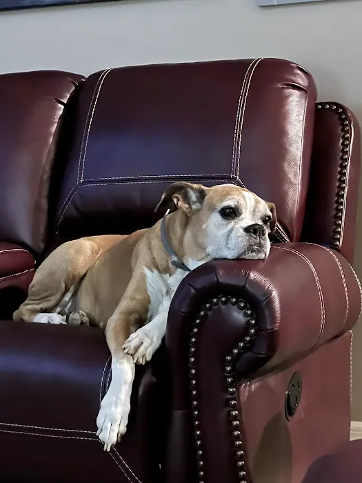 River Region Animal Hospital 12
