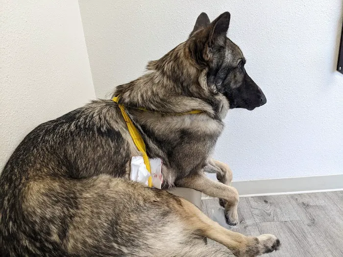 Urgent Pet Vets 7