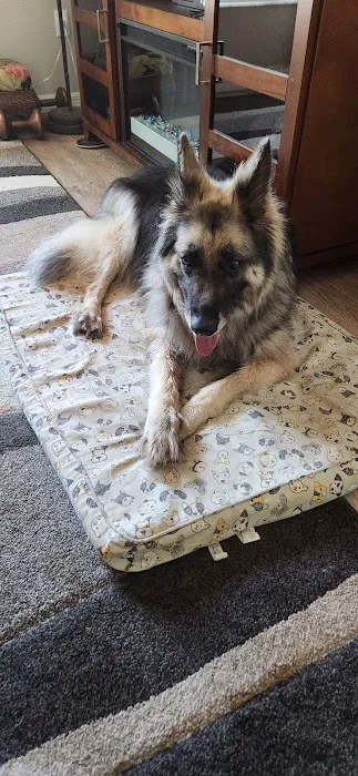 Meadowcrest Animal Hospital 1