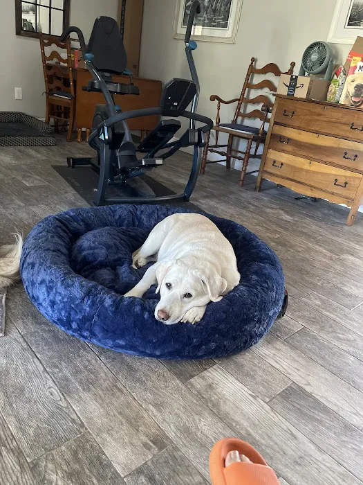 Meadowcrest Animal Hospital 3