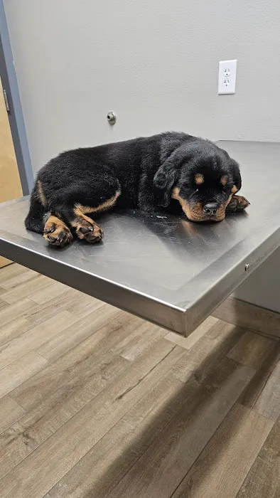 Meadowcrest Animal Hospital 7