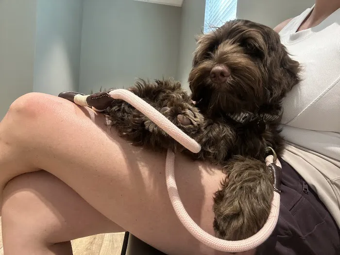 Meadowcrest Animal Hospital 8
