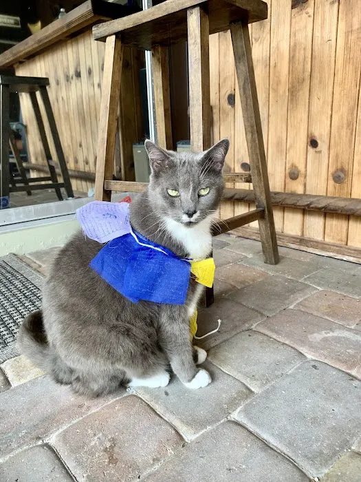 Meadowcrest Animal Hospital 4