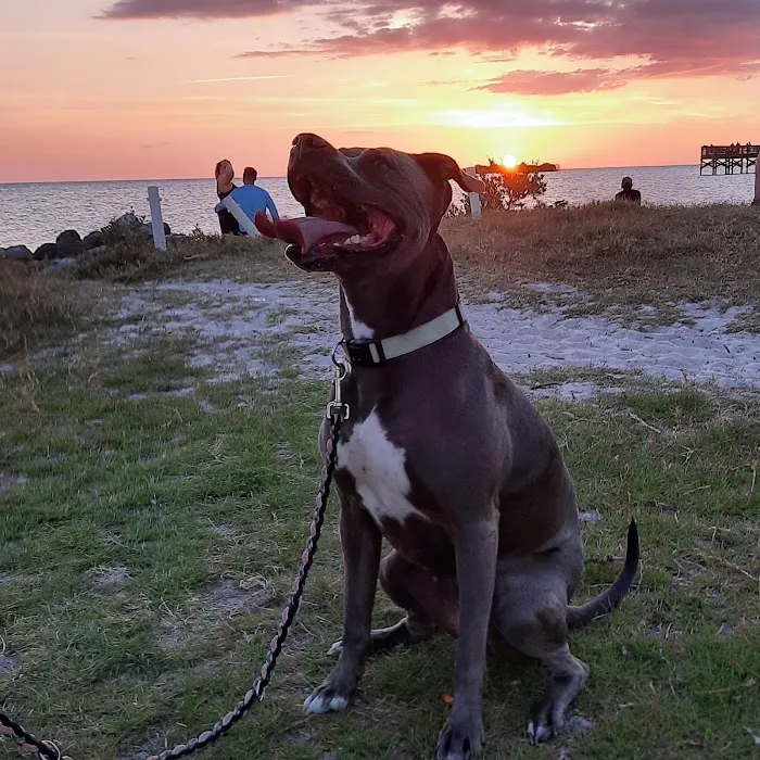 Crystal River Animal Hospital 4
