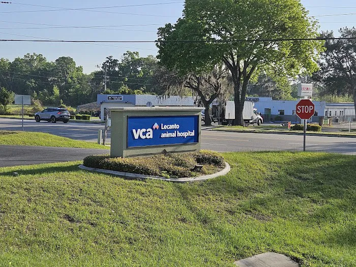 VCA Lecanto Animal Hospital 12