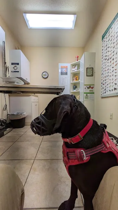 Plantation Animal Clinic 12