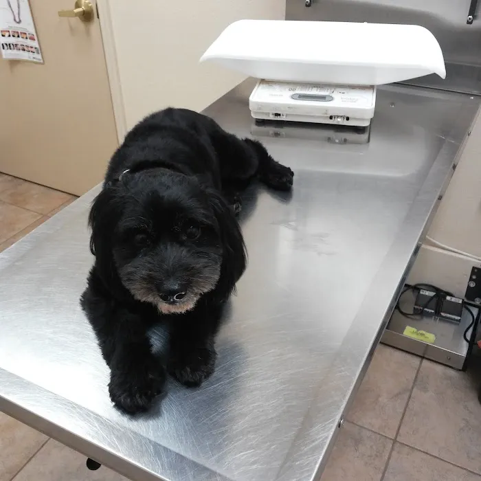 Plantation Animal Clinic 12