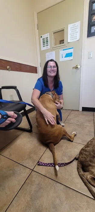 Plantation Animal Clinic 12