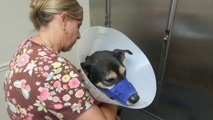 Floral City Veterinary Hospital 12