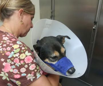 Floral City Veterinary Hospital