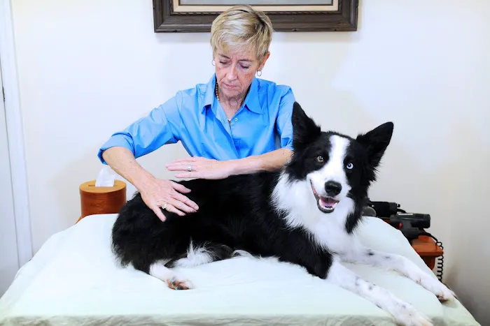 The Healing Place Veterinarian 12