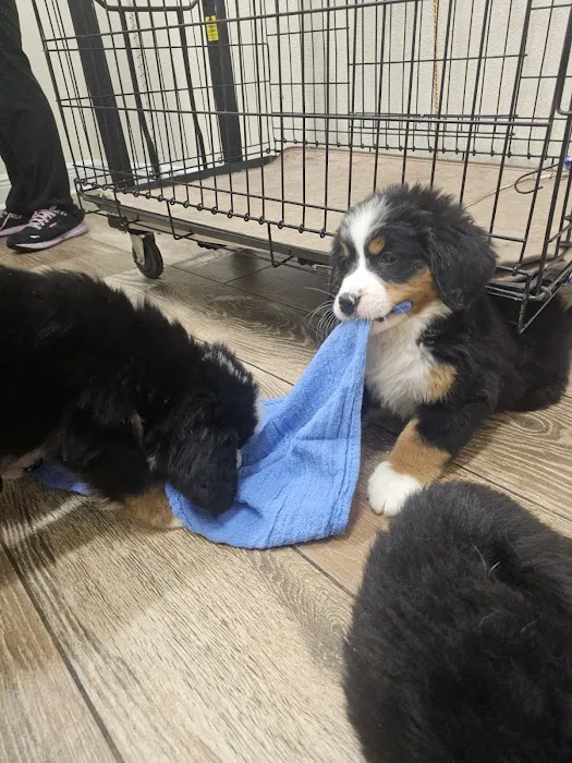 Floral City Animal Clinic 7