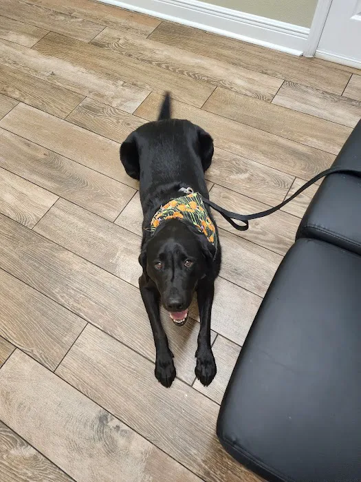 Floral City Animal Clinic 2