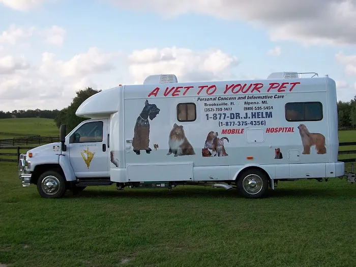 A Vet to Your Pet 1
