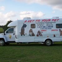 A Vet to Your Pet ico