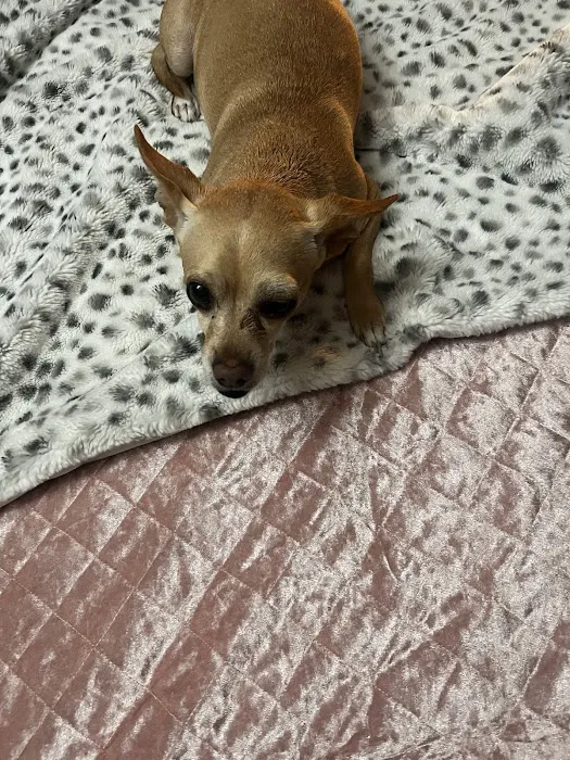 Veterinary Care Center of Laredo 12