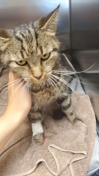Okeechobee Veterinary Hospital 12