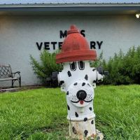 CowTown Animal Hospital ico