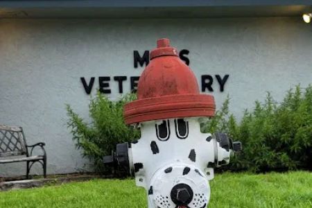 CowTown Animal Hospital