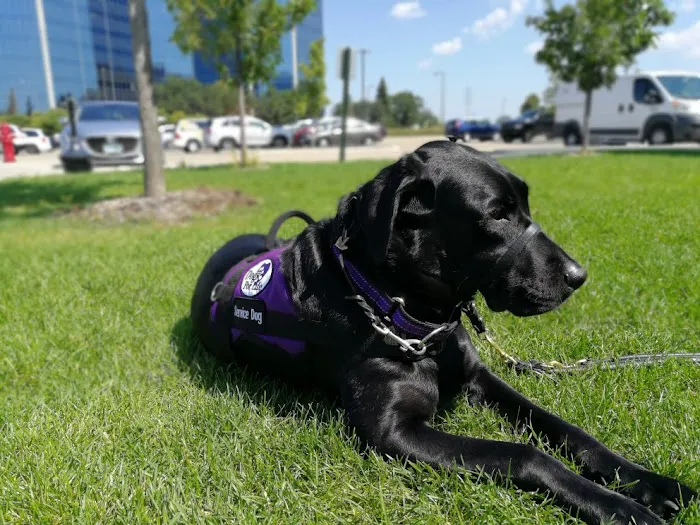 Live Oak Animal Hospital - Miracle Mile 5