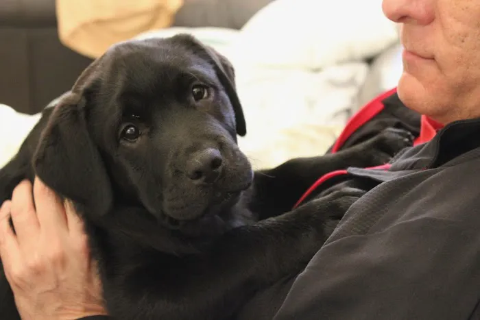 Live Oak Animal Hospital - Miracle Mile 8