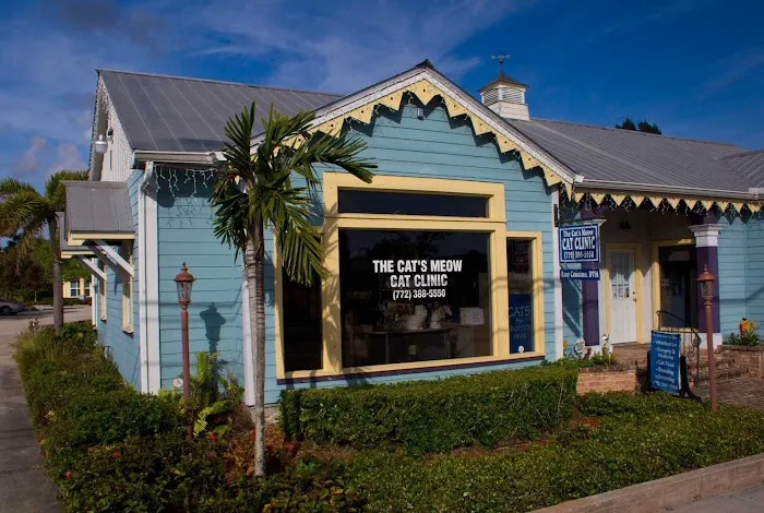 The Cat's Meow Cat Clinic 12