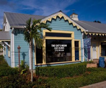 The Cat's Meow Cat Clinic