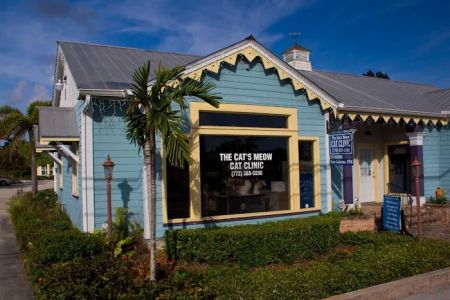 The Cat's Meow Cat Clinic