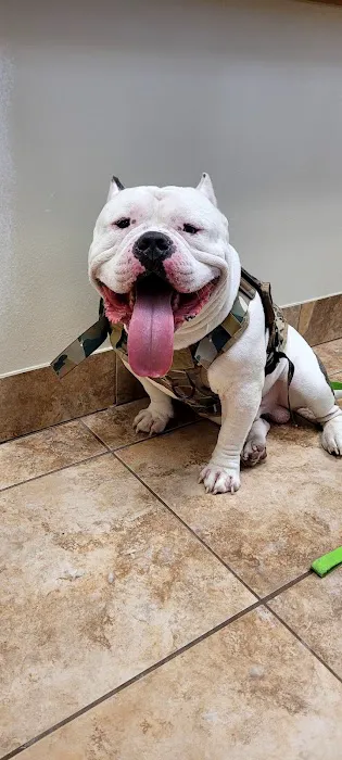 Florida Aid To Animals 8
