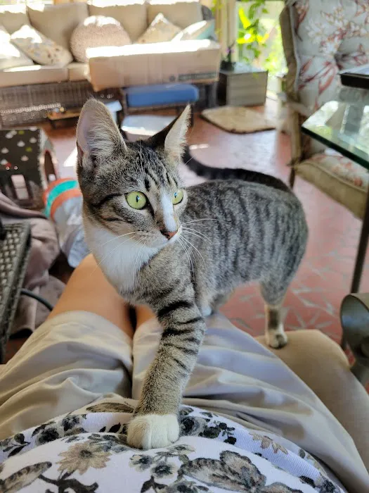 Caloosa Humane Society Veterinarian Clinic 5