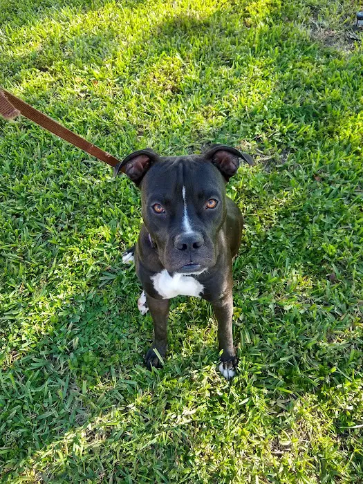 Caloosa Humane Society Veterinarian Clinic 3