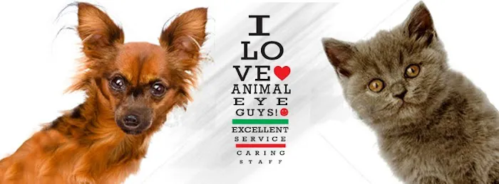 Animal Eye Guys - Fort Myers 12